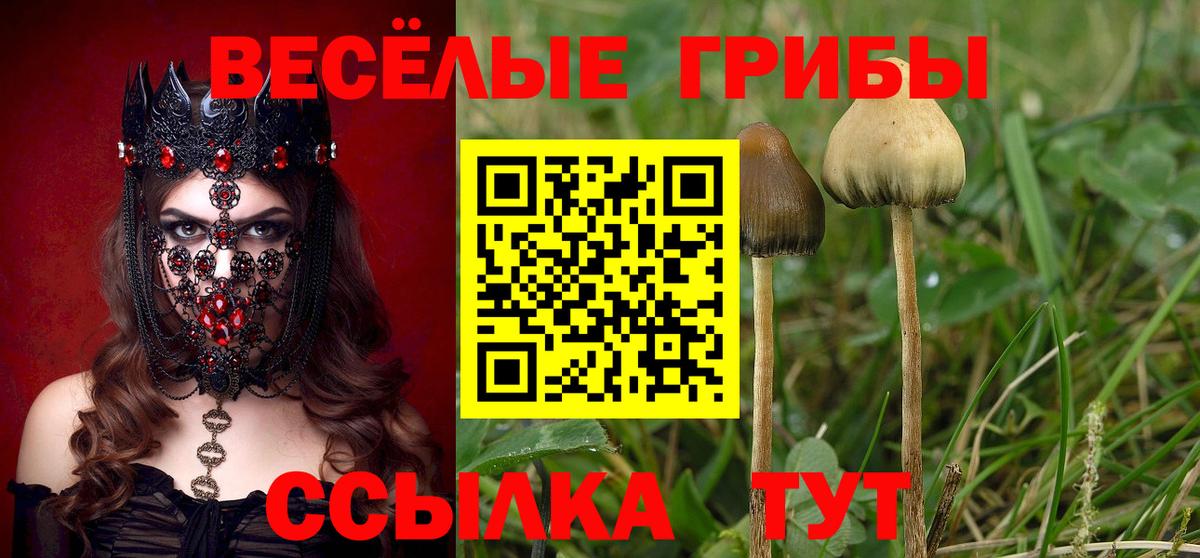 Касимов  Псилоцибиновые грибы мухоморы  Псилоцибиновые грибы ЛСД  Вход с VPN 